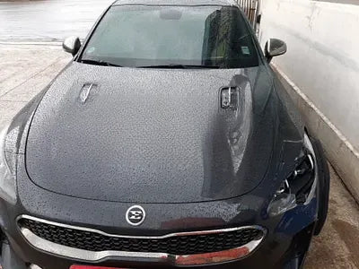 2017 Kia Stinger NONE VIN: