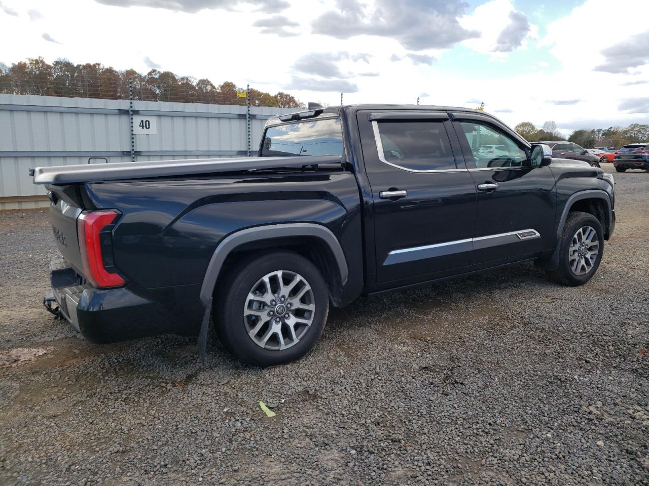 2024 TOYOTA TUNDRA CREWMAX PLATINUM VIN:5TFMA5DB5RX180152