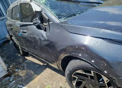 2022 Kia Sportage KNAPX81CBNK008299 VIN:KNAPX81CBNK008299