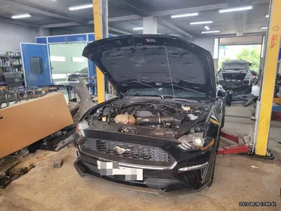 2019 Ford Mustang VIN: