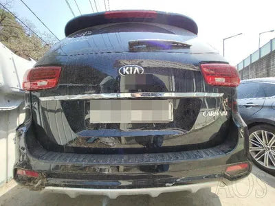 2020 Kia Carnival KNAMB81ABLS655175 VIN:KNAMB81ABLS655175