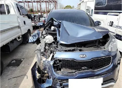 2016 Kia Sportage KNAPN815GGK025679 VIN:KNAPN815GGK025679