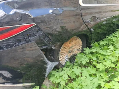 2019 Genesis G90 VIN: