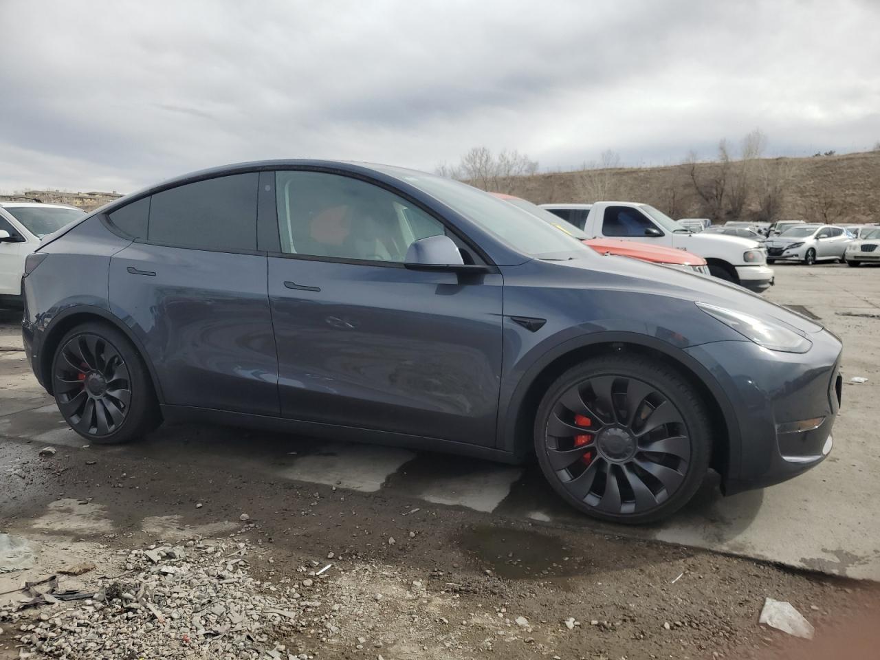 2023 TESLA MODEL Y  VIN:7SAYGDEF9PF695810