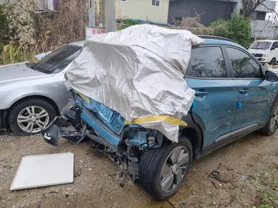 2019 Hyundai Kona KMHK281GFKU010192 VIN:KMHK281GFKU010192