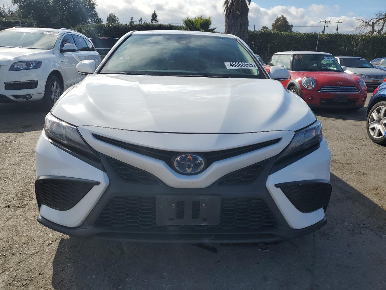 2023 TOYOTA CAMRY SE NIGHT SHADE VIN:4T1G31AK3PU609142