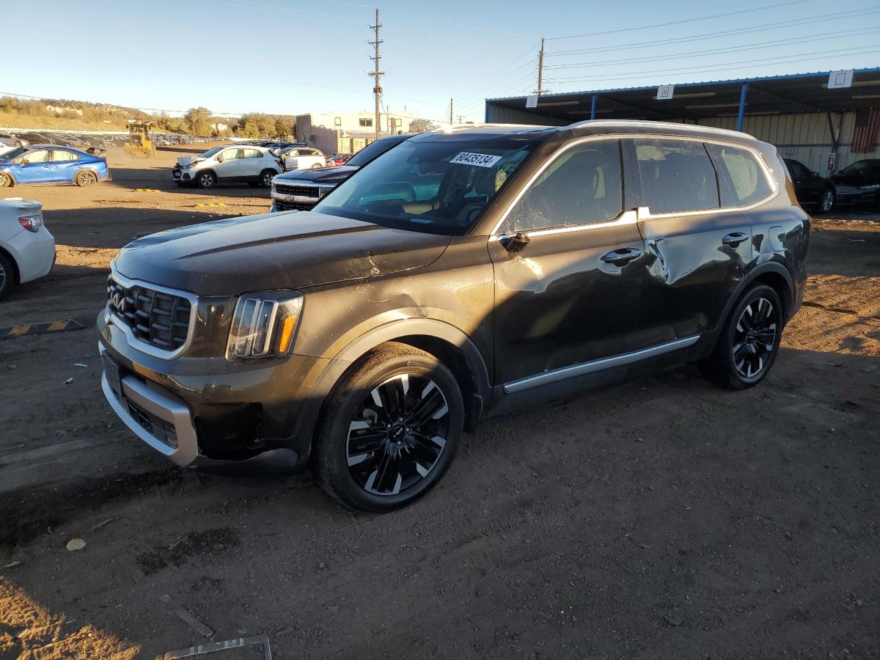 2023 KIA TELLURIDE SX VIN:5XYP5DGC9PG348620