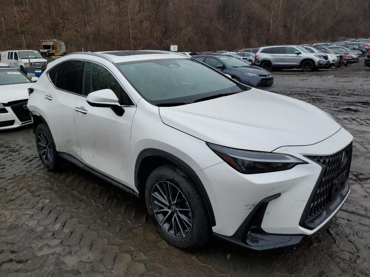2022 LEXUS NX 350 VIN:2T2GGCEZXNC002950