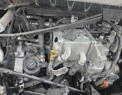 2021 Kia Carnival KNANC81BBMS017347 VIN:KNANC81BBMS017347