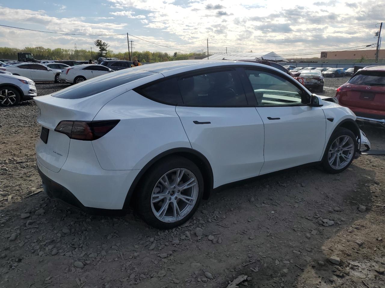 2023 TESLA MODEL Y  VIN:7SAYGDEE3PA099824