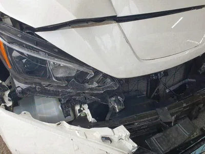 2019 Nissan Leaf 1N4AZ1CP1KC311856 VIN:1N4AZ1CP1KC311856