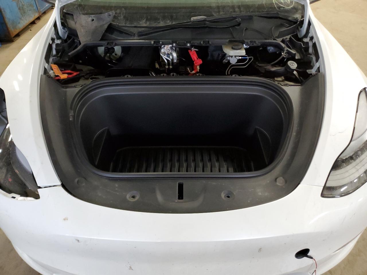 2024 TESLA MODEL Y  VIN:7SAYGDEE5RF191281