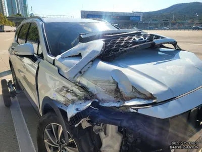 2019 Hyundai Santa FE KMHS281BBKU058365 VIN:KMHS281BBKU058365