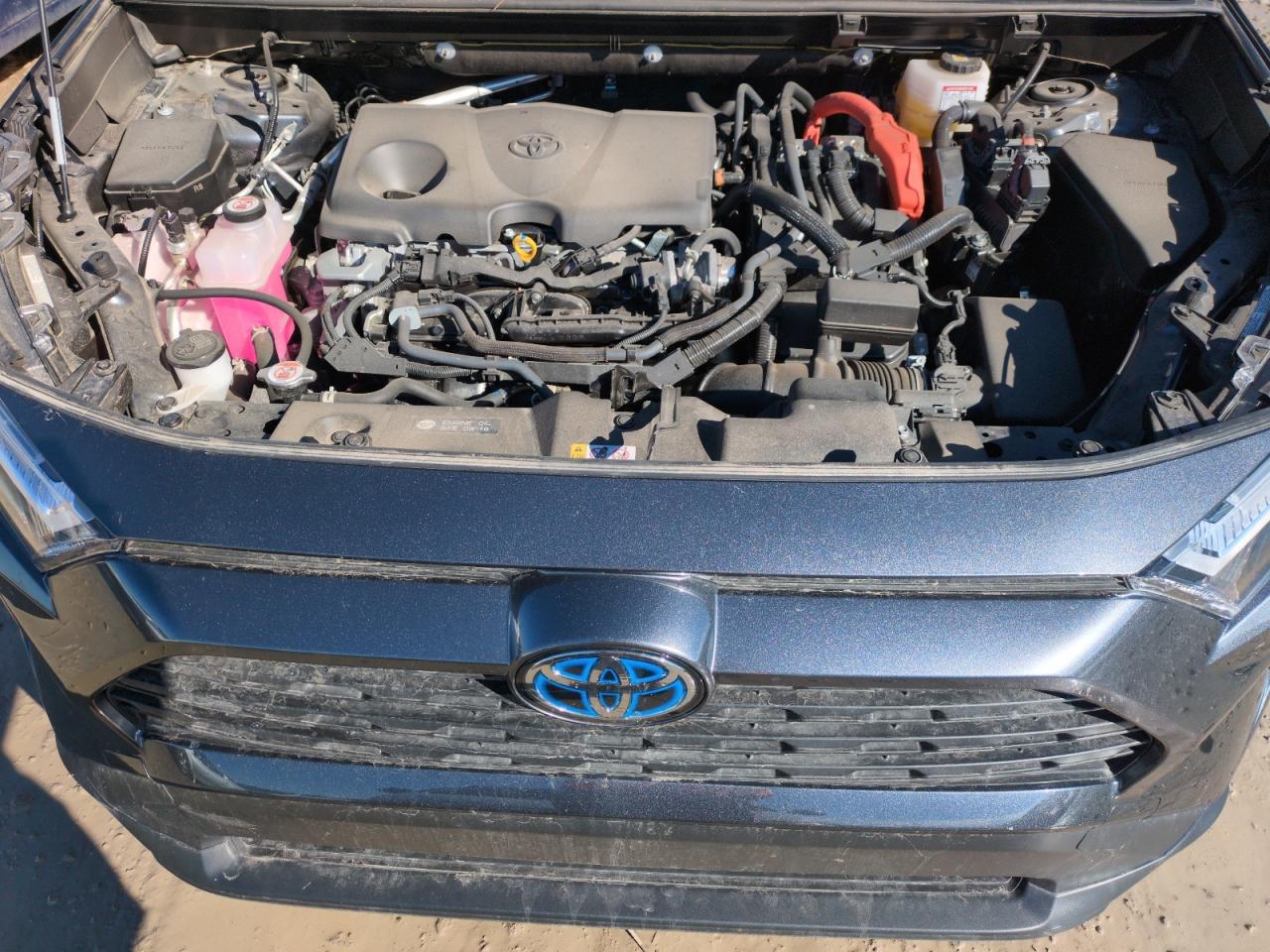 2023 TOYOTA RAV4 XLE VIN:JTMRWRFVXPD202649