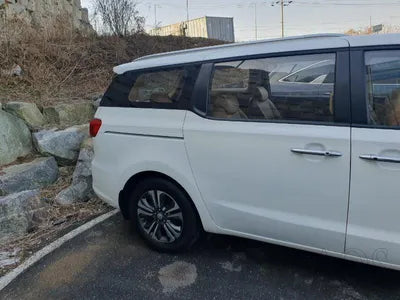 2019 Kia Carnival KNAMB81ABKS556683 VIN:KNAMB81ABKS556683