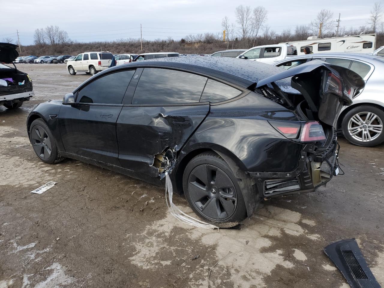 2023 TESLA MODEL 3  VIN:5YJ3E1EA3PF573962