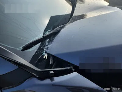 2021 Toyota RAV4 JTMDWRFV3MD094011 VIN:JTMDWRFV3MD094011