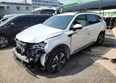 2022 Kia Sorento KNARL81GBNA063486 VIN:KNARL81GBNA063486