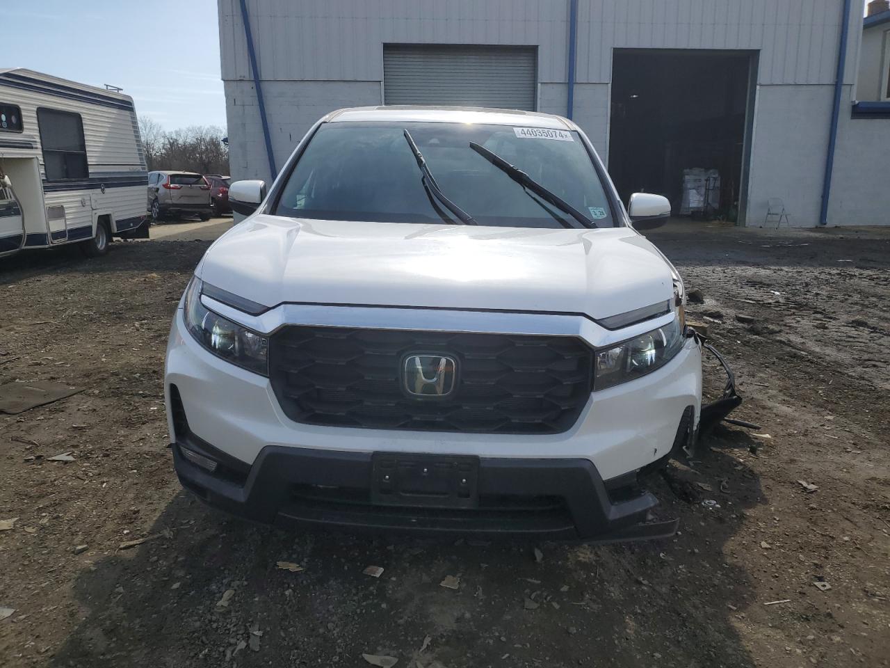2023 HONDA PASSPORT EXL VIN:5FNYF8H5XPB010448