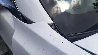 2020 Tesla Model 3 5YJ3E1EB7LF727091 VIN:5YJ3E1EB7LF727091