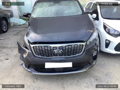 2019 Kia Sorento KNAPG81BBKA543174 VIN:KNAPG81BBKA543174