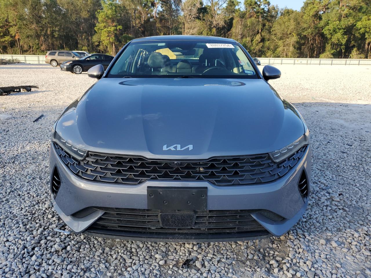 2022 KIA K5 EX VIN:5XXG34J22NG123690