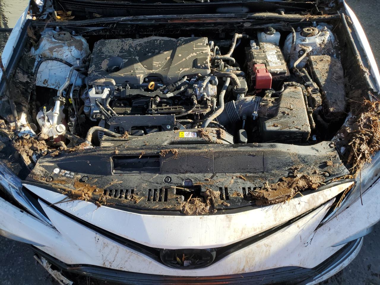 2023 TOYOTA CAMRY LE VIN:4T1C11AK1PU164601