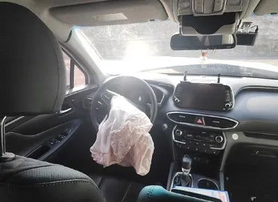 2020 Hyundai Santa FE 1KMHS381ABLU19660 VIN:1KMHS381ABLU19660