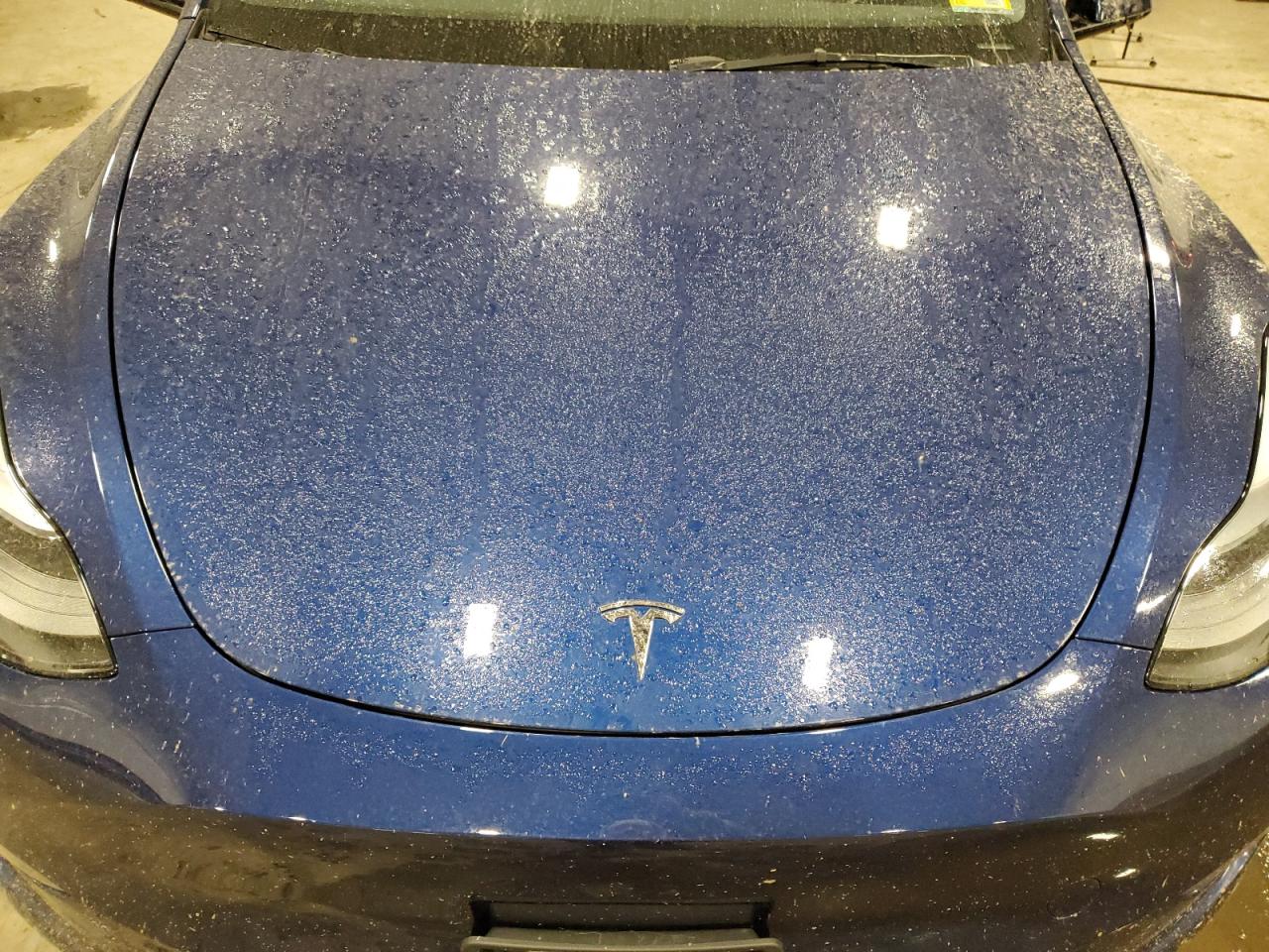 2023 TESLA MODEL Y  VIN:7SAYGDEEXPF803617