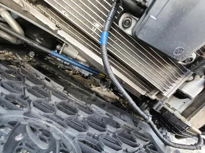 2019 Hyundai Santa FE KMHS381BBKU156411 VIN:KMHS381BBKU156411