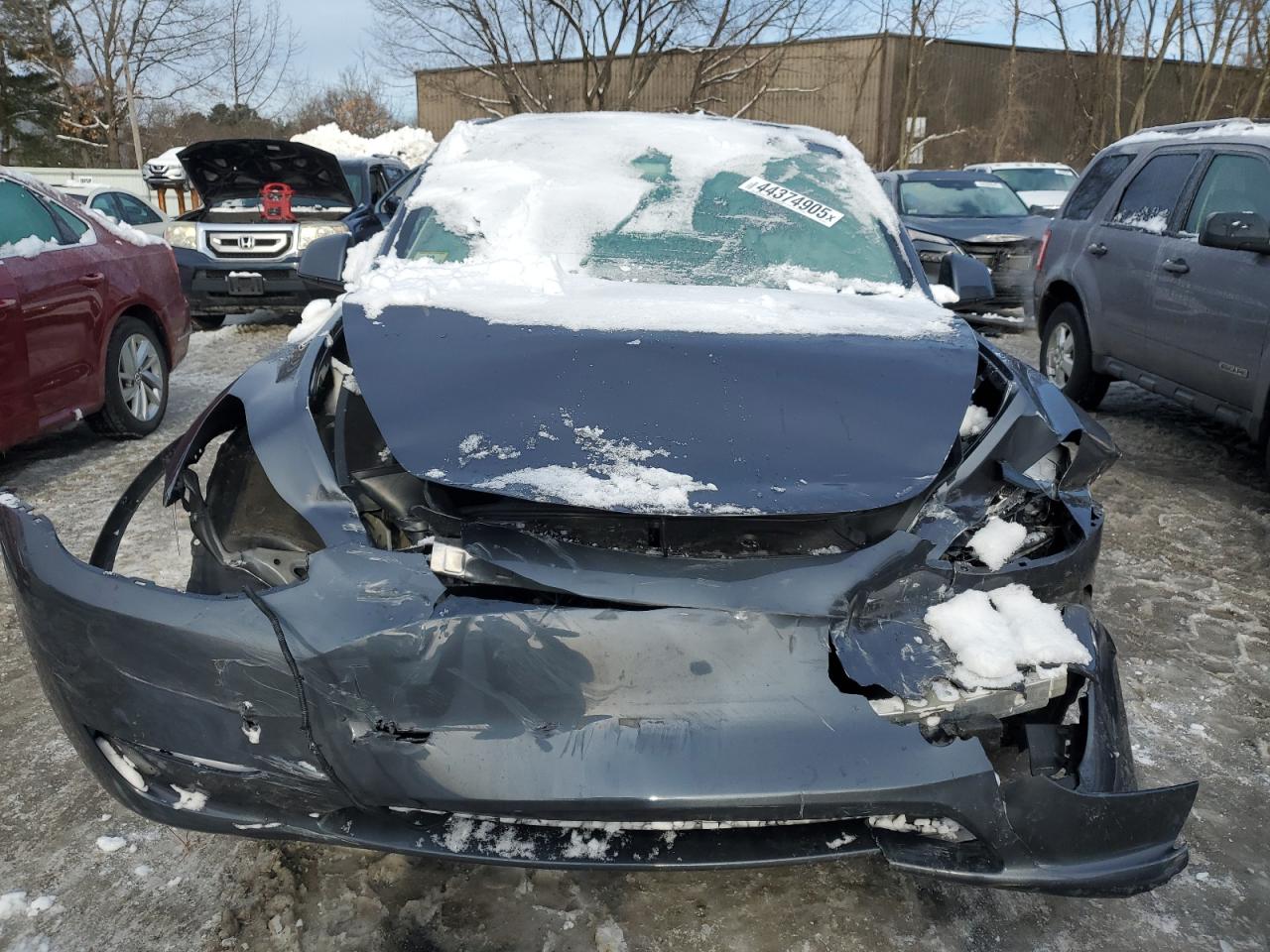 2023 TESLA MODEL Y  VIN:7SAYGAEE8PF895261
