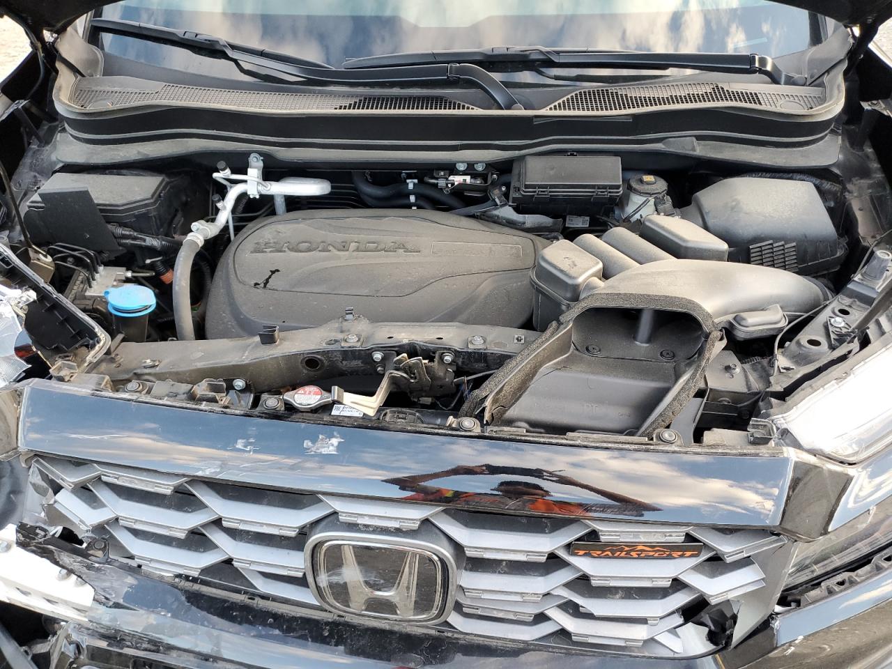 2023 HONDA PASSPORT TRAIL SPORT VIN:5FNYF8H64PB005514