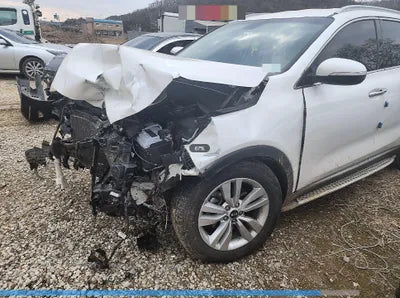 2017 Kia Sorento KNAPS81BDHA310714 VIN:KNAPS81BDHA310714