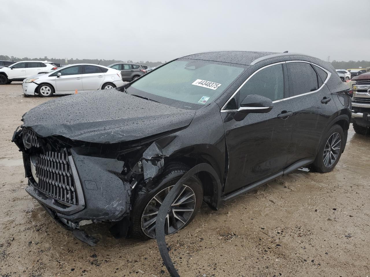2024 LEXUS NX 250 PREMIUM VIN:2T2GDCAZ8RC014499