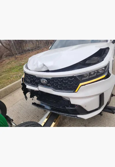 2021 Kia Sorento KNARL81BGMA004322 VIN:KNARL81BGMA004322