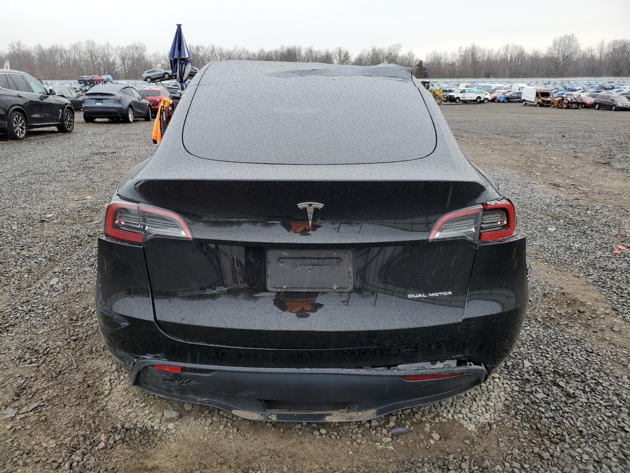 2023 TESLA MODEL Y  VIN:7SAYGDEE8PA044544