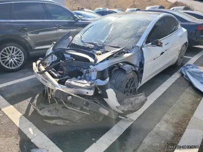 2020 Tesla Model 3 5YJ3E1EB1LF809771 VIN:5YJ3E1EB1LF809771