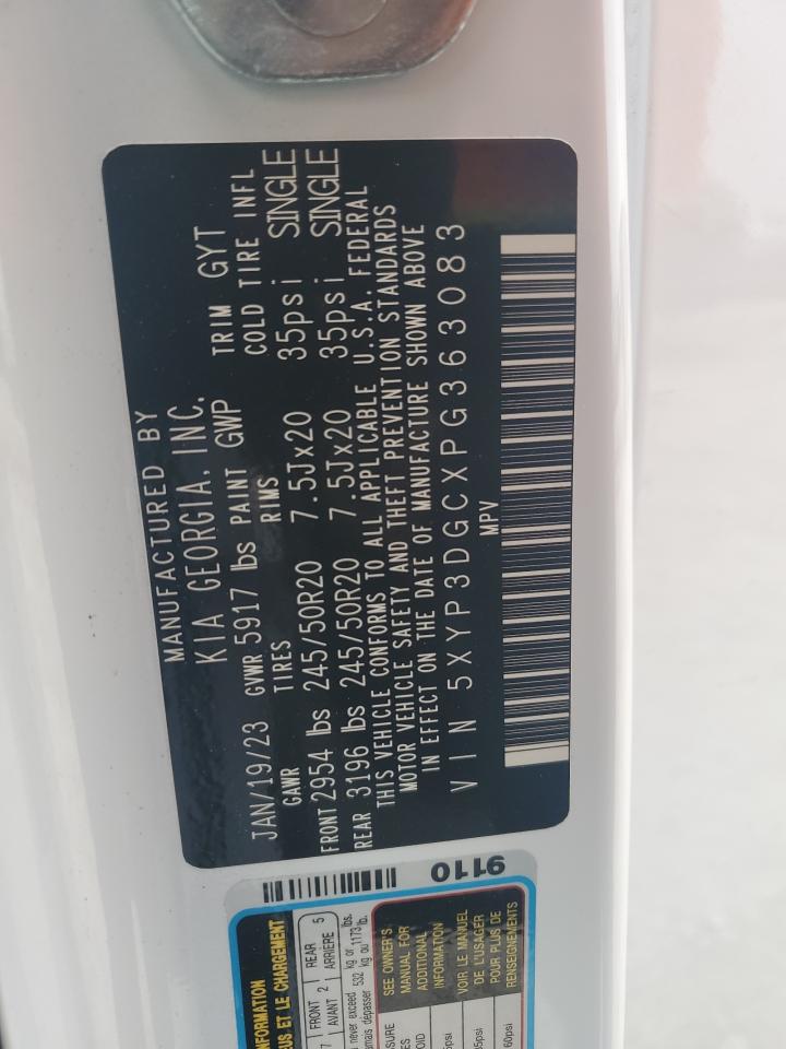 2023 KIA TELLURIDE EX VIN:5XYP3DGCXPG363083