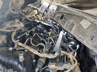 2018 Kia Sorento KNAPF81ABJA462252 VIN:KNAPF81ABJA462252