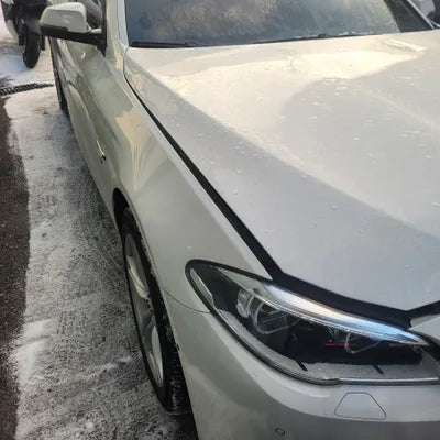 2016 BMW 520 WBA5E7100GG566060 VIN:WBA5E7100GG566060