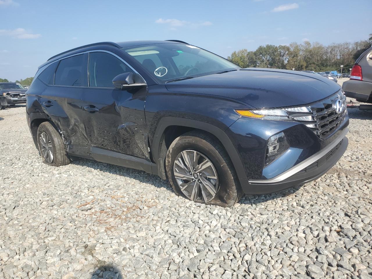 2024 HYUNDAI TUCSON BLUE VIN:KM8JBCD18RU196628