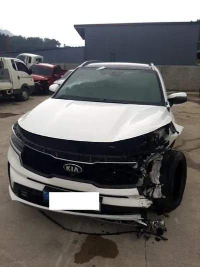2021 Kia Sorento KNARK81BGMA103765 VIN:KNARK81BGMA103765