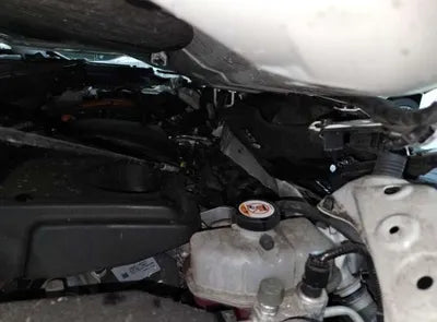 2019 Toyota RAV4 VIN: