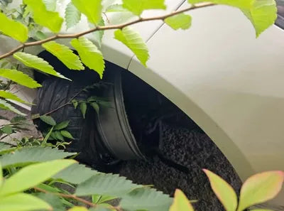 2014 Mercedes-Benz E 220 VIN: