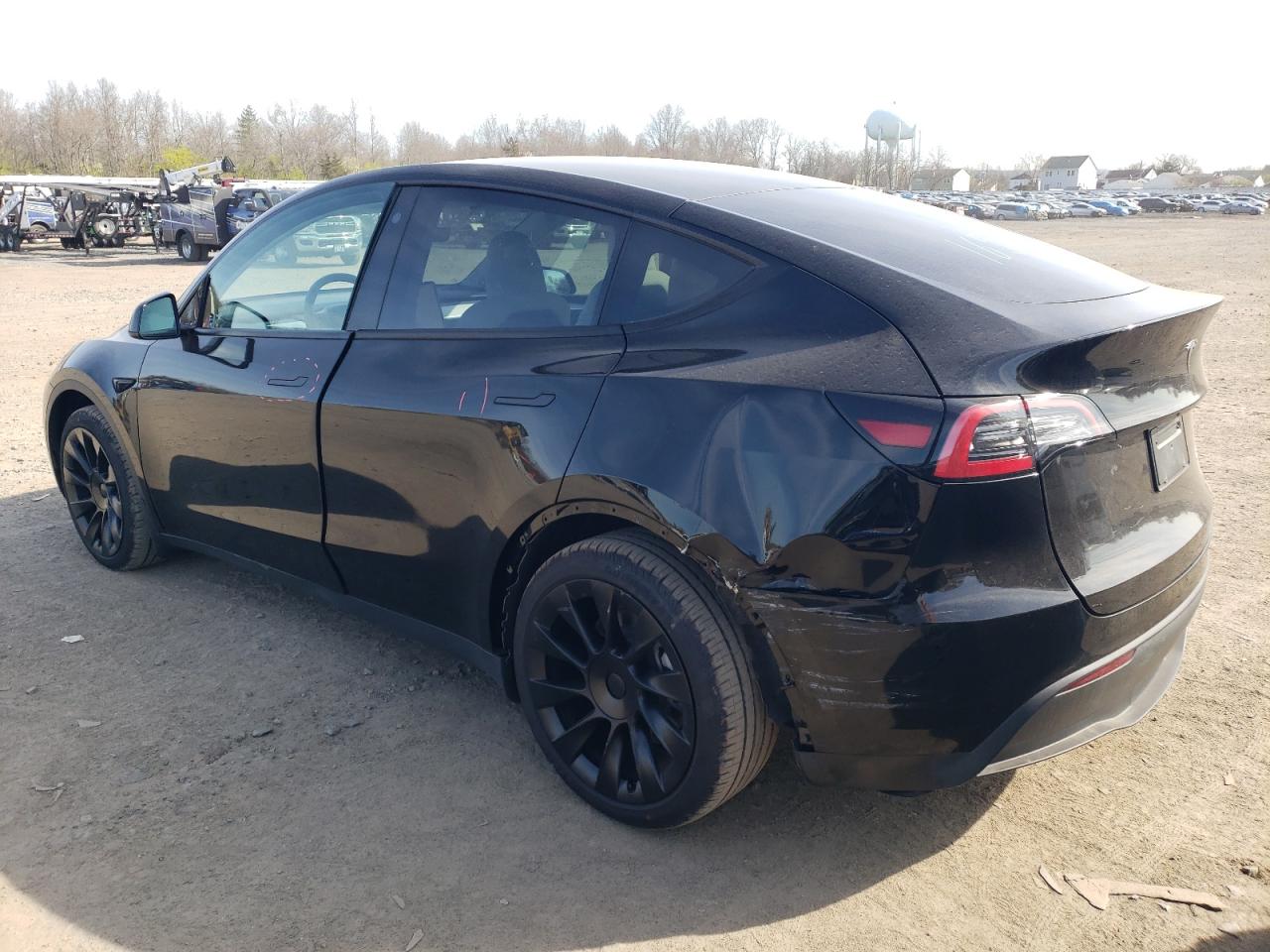 2023 TESLA MODEL Y  VIN:7SAYGDEE2PF750430