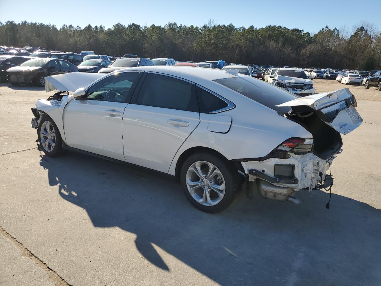 2024 HONDA ACCORD LX VIN:1HGCY1F24RA077712