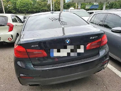 2019 BMW 530 WBAJD9103KWW41099 VIN:WBAJD9103KWW41099