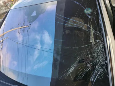 2021 Audi 50 WAUZZZF88MN005564 VIN:WAUZZZF88MN005564