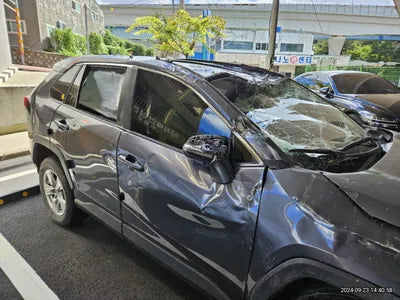 2019 Toyota RAV4 VIN: