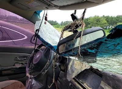 2017 Kia Carnival KNAMC81ABHS281610 VIN:KNAMC81ABHS281610